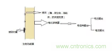 仿生傳感器的定義、原理、分類及應用
