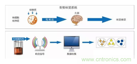 仿生傳感器的定義、原理、分類及應用