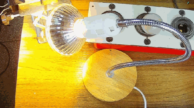 電燈泡內(nèi)通有交流電，為什么看不到燈泡在閃爍？
