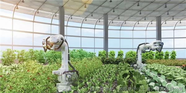智慧農(nóng)業(yè)大有可為，“數(shù)字種地”更輕松